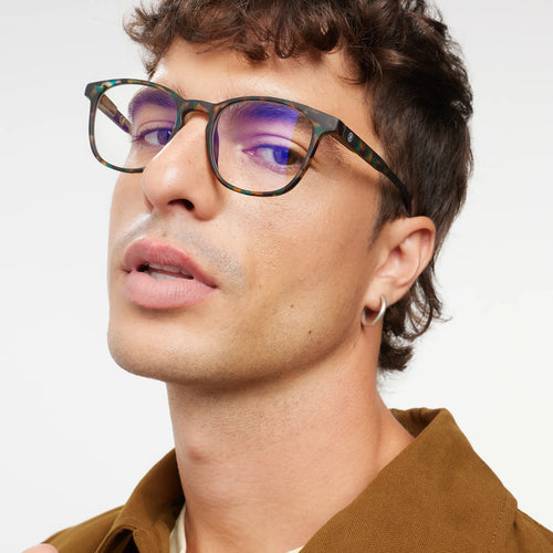 Barner Dalston Screenglass - Light Tortoise
