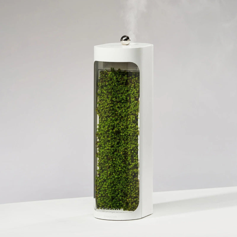 Moss Air Living Moss Humidifier With Filter - 40ml/hr / 320ml / White