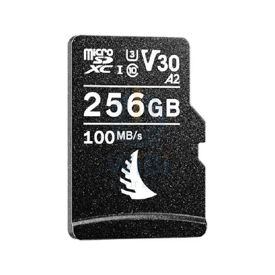 ANGELBIRD PRO microSDXC UHS-I CARD with SD Adapter - 256GB / 100MB/s Storage > Memory Cards