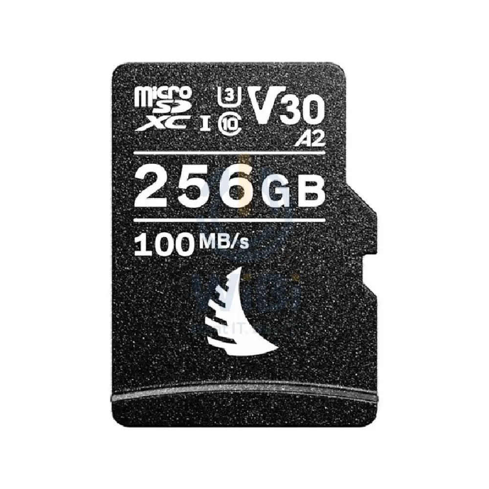 ANGELBIRD PRO microSDXC UHS-I CARD with SD Adapter - 256GB / 100MB/s Storage > Memory Cards