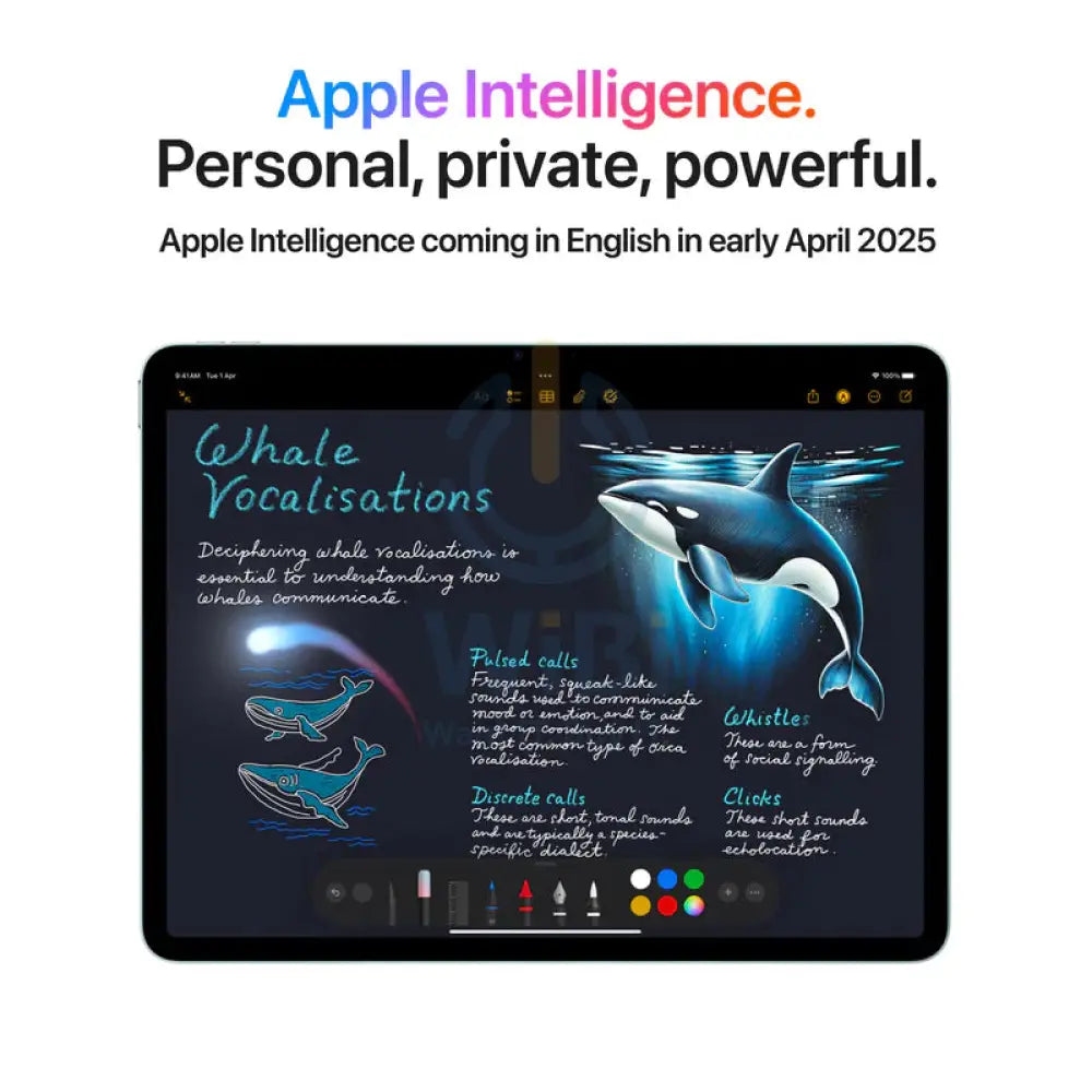 Apple iPad Air M3 (2025) / 13’’ / 512GB / WiFi / BLUE Mobiles & Tablets > Tablets