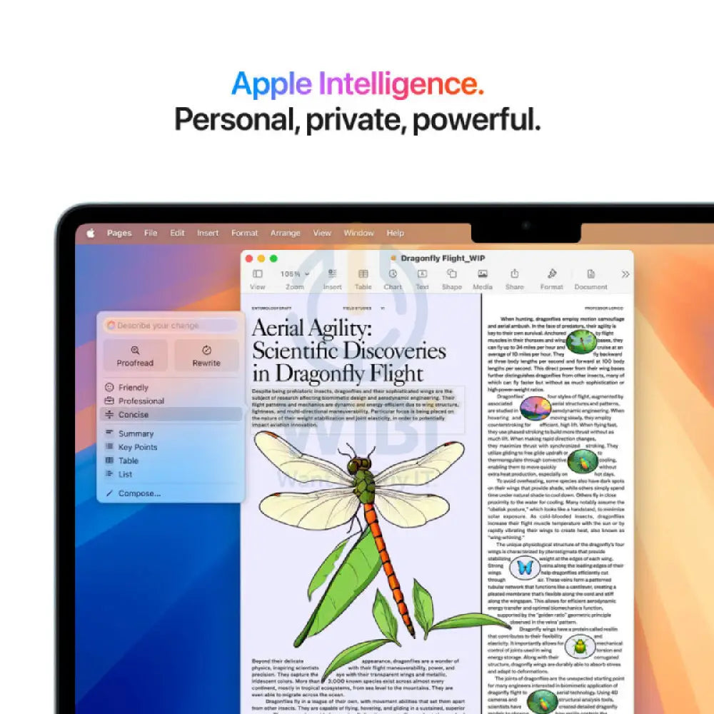 Apple MacBook Air - 13.6’’ / M4 / 10-Core CPU / 10-Core GPU / 16-Core Neural Engine / 24GB RAM / 512GB SSD / Silver