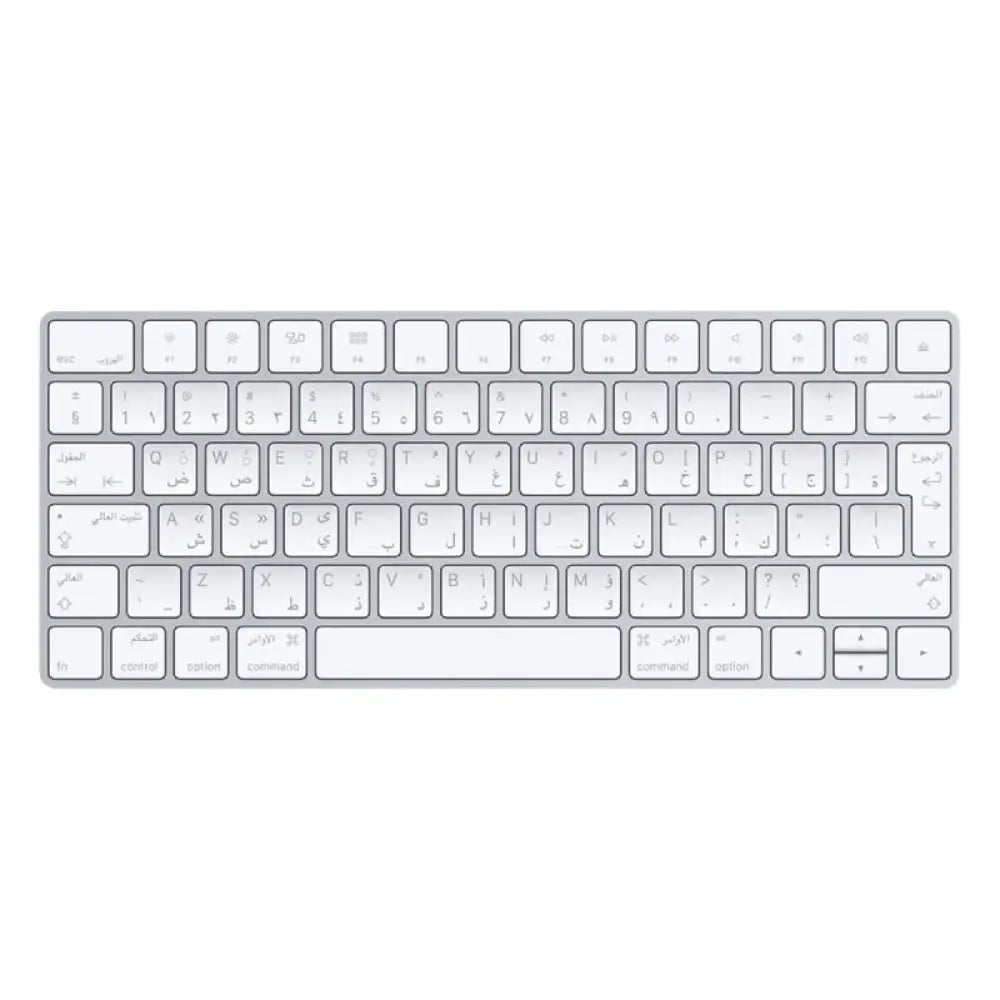 Apple Magic Wireless Rechargeable Keyboard - Bluetooth / Lightning / Wireless / Arb/Eng / White Accessories > Keyboard