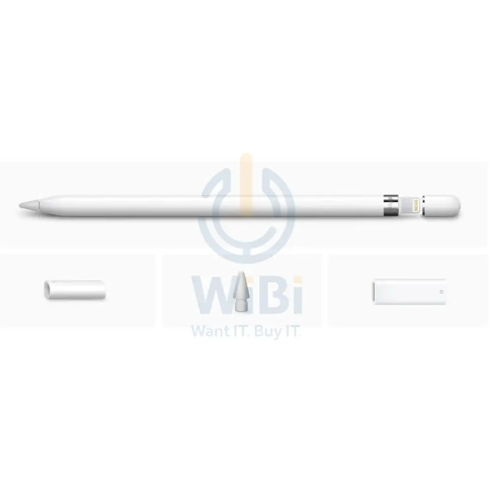 Apple Pencil (1st Generation) with USB C to Pencil Adapter / White New Edition Accessories > Mobiles & Tablets >