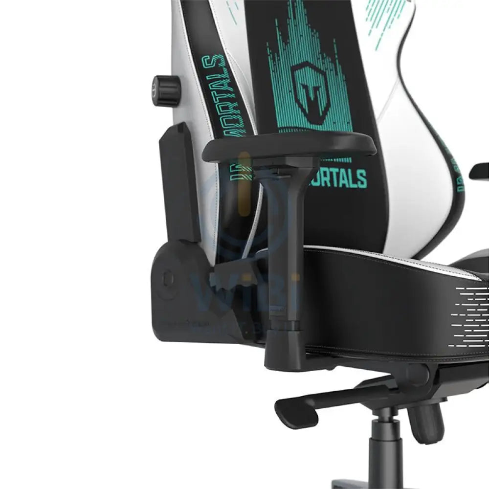 DXRacer Craft Pro Immortals Gaming Chair - Black/White Accessories > Chairs > Gaming Zone > Offer Zone