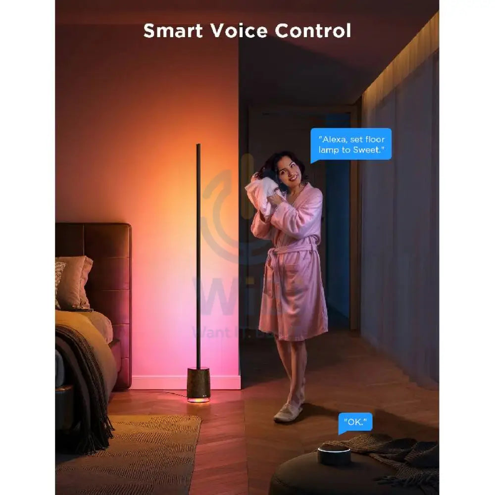 Govee Floor Lamp Pro - Bluetooth / 2100 Lumens / RGBICWW / Black Accessories > Other Accessories