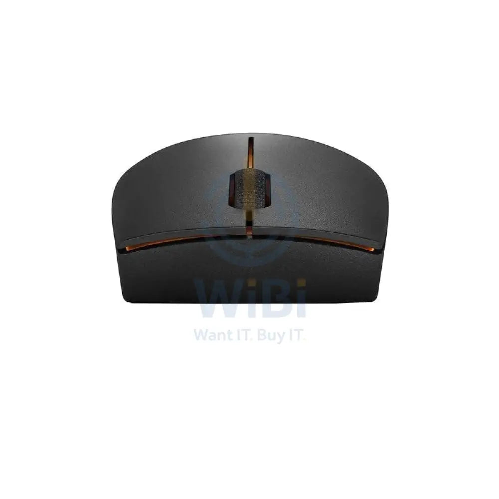 Lenovo 300 Wireless Compact Mouse - 2.40GHz / Black - Mouse