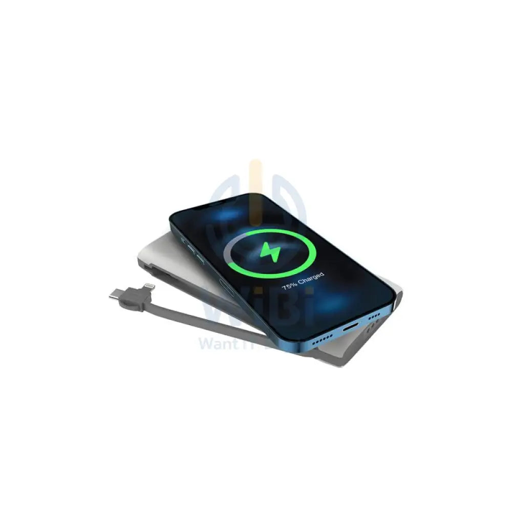 Powerology 4 in 1 Power Bank - 10000mAh / Lightning / Type-C / White