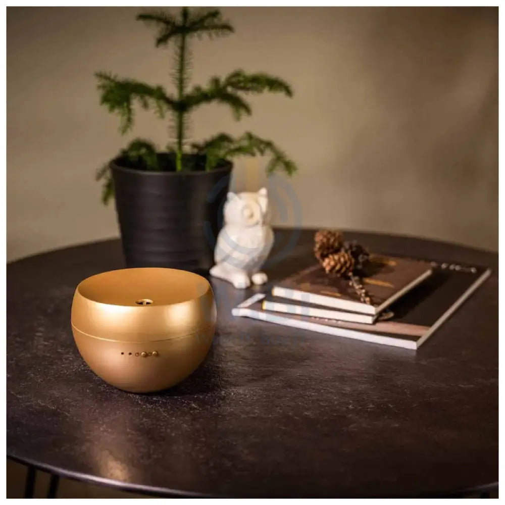 Stadler Form Jasmine Aroma Diffuser - Gold Accessories > Smart Devices