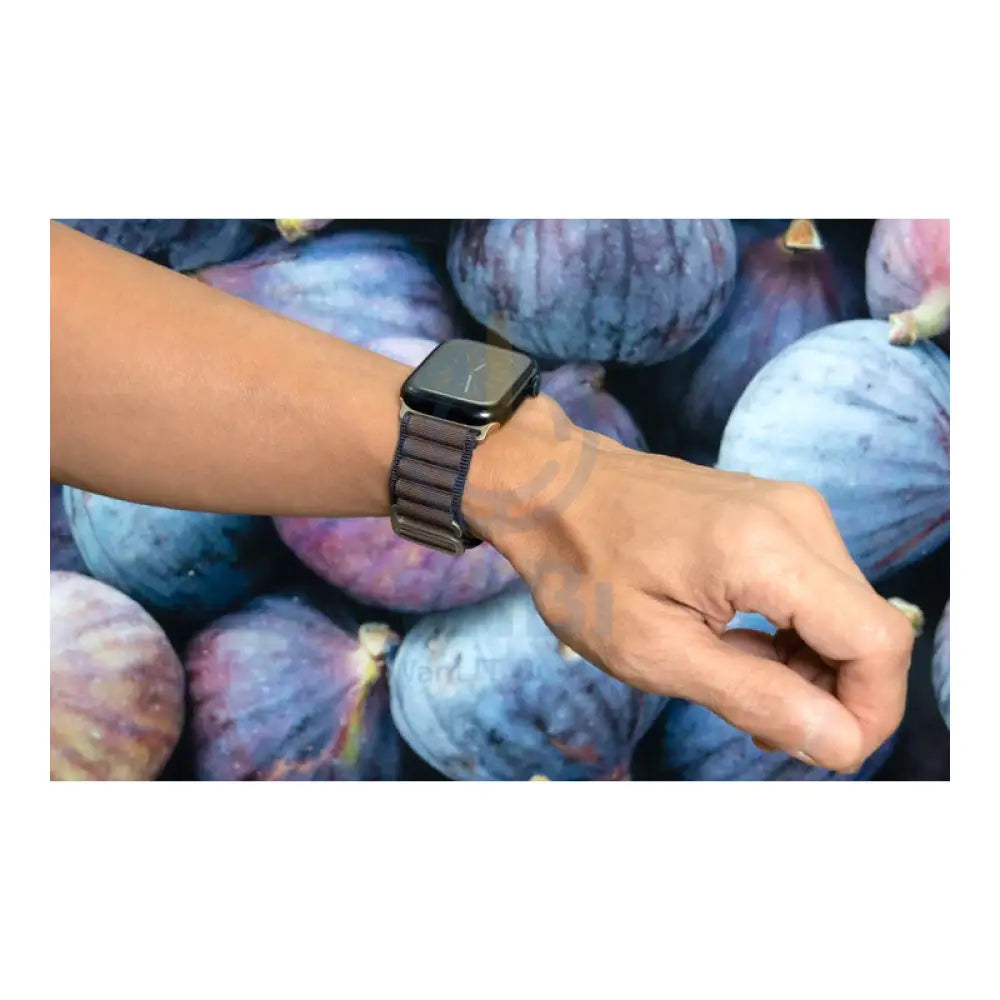 Torrii Solar Band - Apple Watch 42mm/44mm/45mm/ULTRA(49mm) / Fig Accessories > Smart Watches > Straps