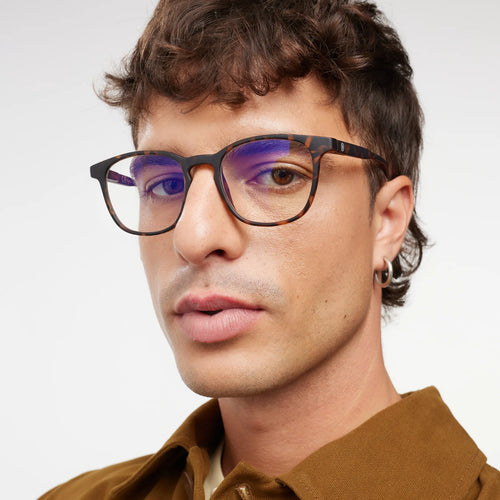 Barner Dalston Screenglass - Tortoise