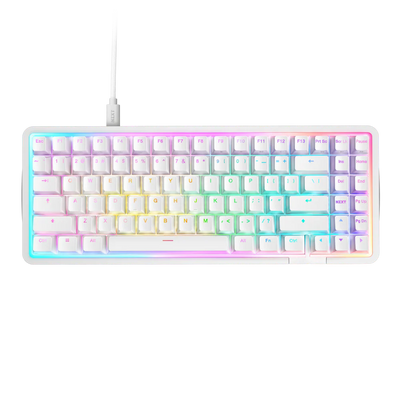 NZXT Function Elite Mini TKL Wired Gaming Keyboard - White