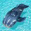 Bestway 1.93m x 1.22m Whaletastic Wonders Ride-On (Contents: 1 Rider-On, Repair Patch) - Age 3+