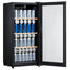 Wansa Beverage Cooler, 3.5CFT, WUSCO-99-GLC62 - Grey