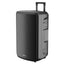 Wansa Solo-15” Pro Trolley Speaker, 80W - Black