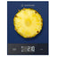 Nutricook Digital Kitchen Scale, 5kg Capacity, KS205PB-ME - Blue
