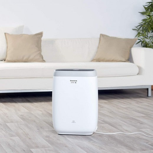 Taurus High Landscapes 80m2, 38W Air Purifier