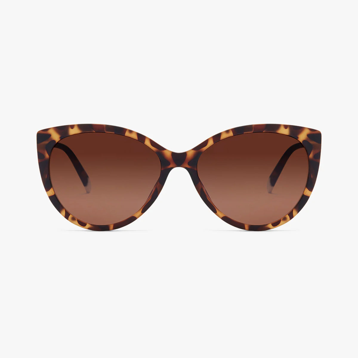 Barner Belleville Sunglasses - Tortoise