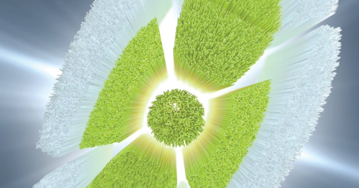 Philips Sonicare W2 Optimal Brush Head - White