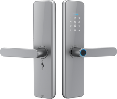 Gopeta High-Quality Smart TTlock for the wooden doors C91 Pro - Silver