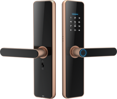 Gopeta High-Quality Smart TTlock for the wooden doors C91 Pro - Bronze