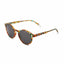 Barner Le marais Sunglasses - Light Tortoise