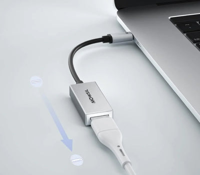 Mowsil USB-C to DisplayPort Adapter - Silver