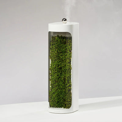 Moss Air Living Moss Humidifier With Filter - 40ml/hr / 320ml / White