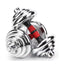 Adjustable Chrome Dumbbell 15KG Weight Set with Carrying Case