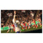 EA SPORTS FC 27 Standard Edition For Nintendo Switch 2 (EU) - Arabic Version