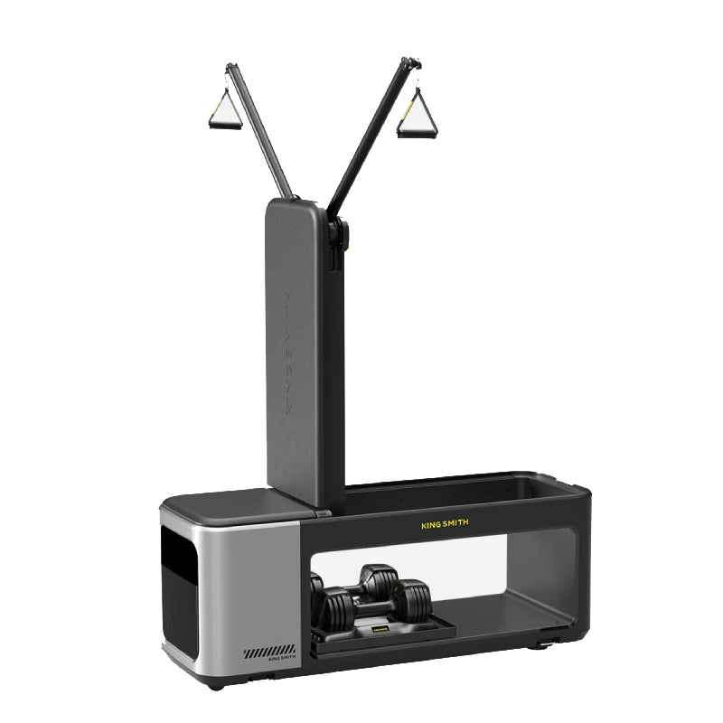 KingSmith BX2+2D Multifunctional Fitness Bench