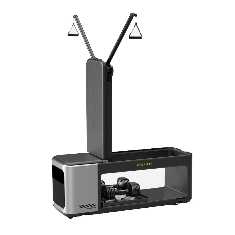KingSmith BX2+2D Multifunctional Fitness Bench