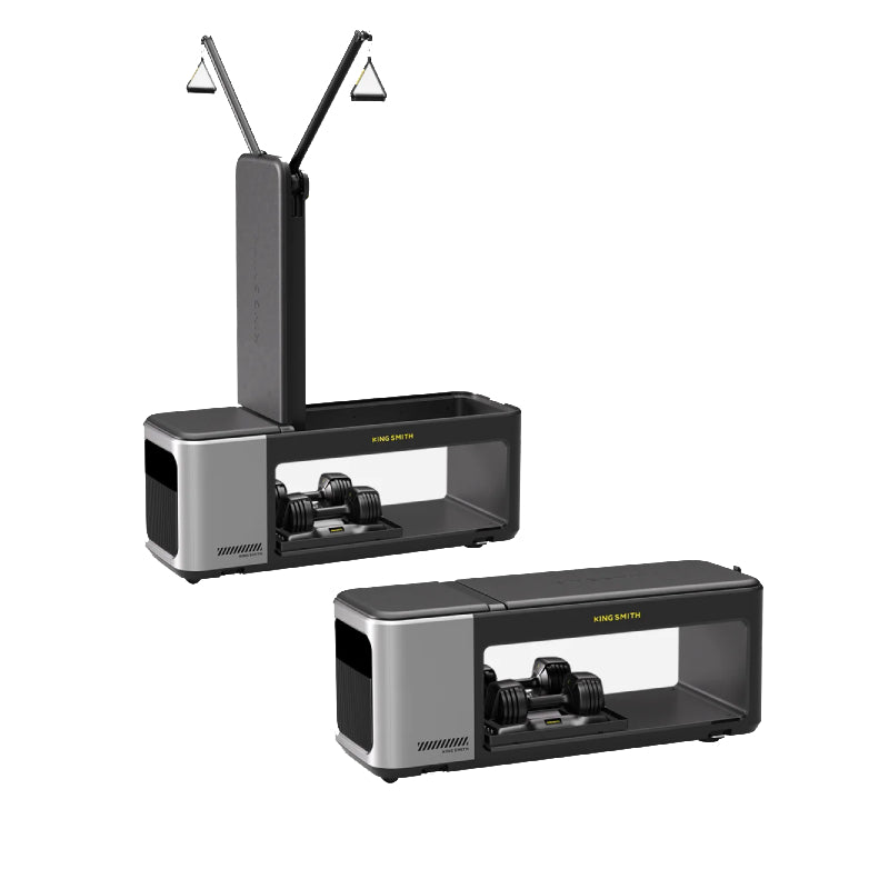 KingSmith BX2+2D Multifunctional Fitness Bench