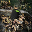 GOUI Kigo Power Bank - 10,000mAh / USB-A / USB-C / Black