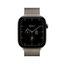 Apple Watch Series 12 - LTPO OLED / 64GB / 46mm / Bluetooth / Wi-Fi + Cellular / Medium/Large /  Natural Titanium Case with Natural Milanese Loop