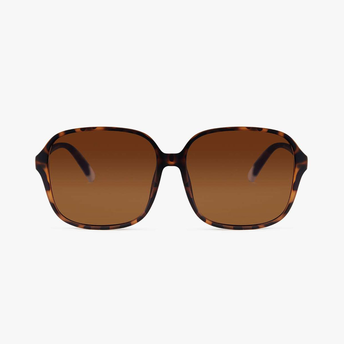 Barner Pascal Screenglass - Tortoise