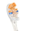 Philips Sonicare A3 All-in-One Brush Head - White