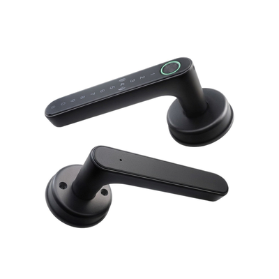 Gopeta Smart Door Lock - Black