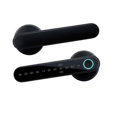 Gopeta Smart Door Lock - Black