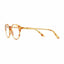 Barner Williamsburg Screenglass - Light Havana