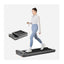 KingSmith Z3 Just Walk Foldable Treadmill - 1.0 HP / 1.0 to 4.0 mph / Grey