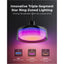 Govee Pendant Light