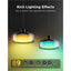 Govee Pendant Light