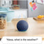 Amazon Echo Dot (5th Gen 2022) - Smart Speaker with Alexa Deep Sea Blue Accessories > Audio > Speakers