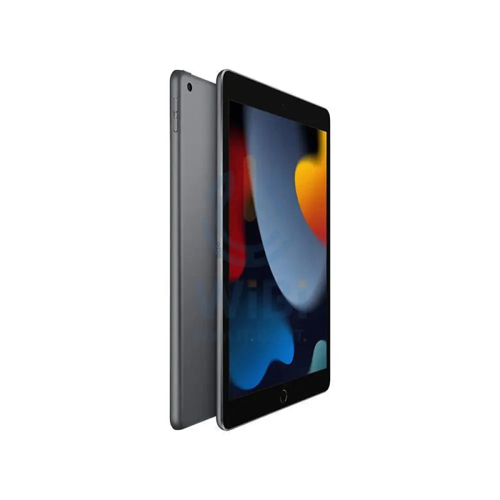 Apple iPad (9th Gen) - A13 Bionic Chip / 256GB / 10.2" Retina / Wi-Fi / Cellular / 4G / 1YW / Space Grey
