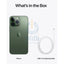 Apple iPhone 13 Pro - 256GB / 6.1" Super Retina XDR / Wi-Fi / 5G / Green - Mobile