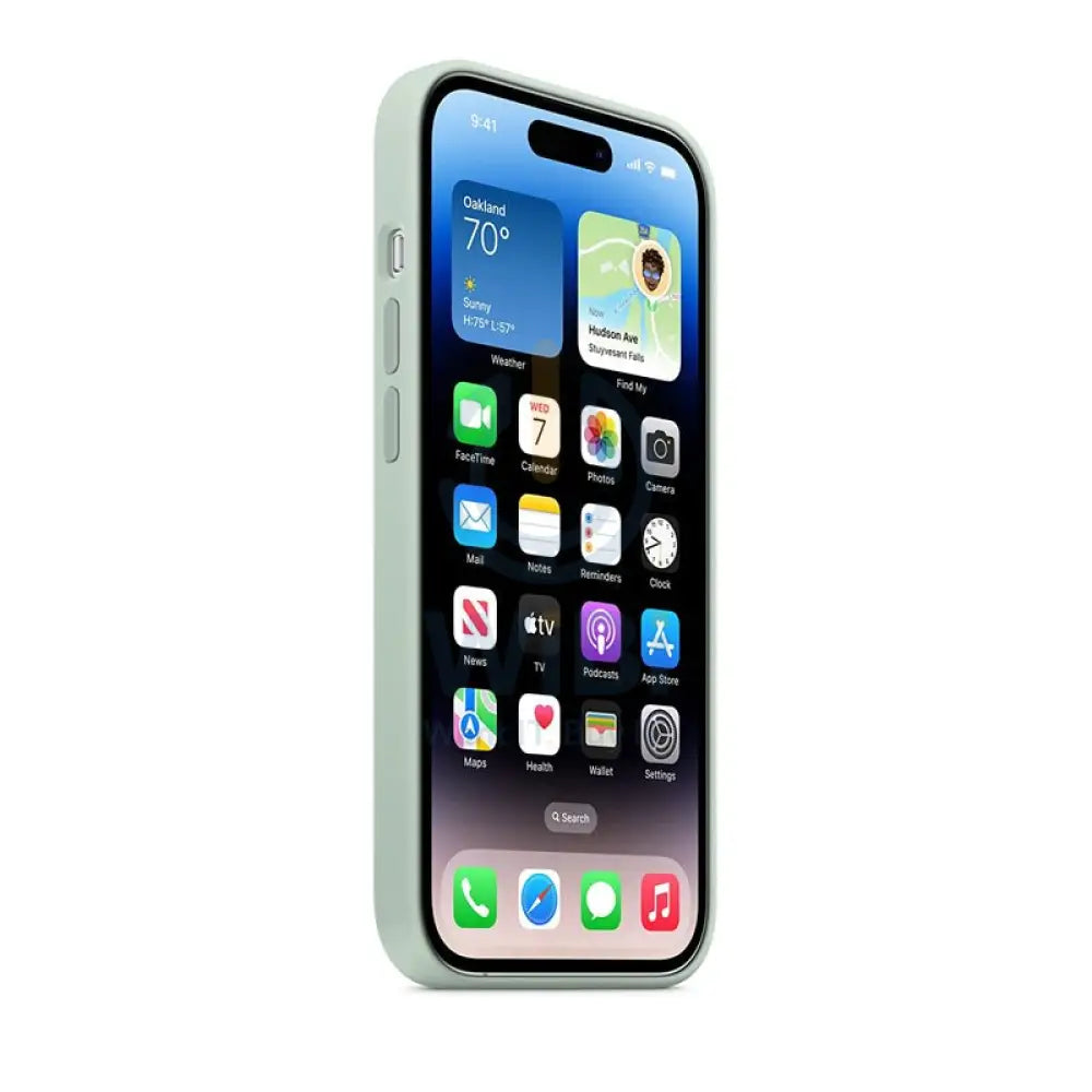 Apple iPhone MagSafe Silicone Case - iPhone 14 Pro Max / Succulent Accessories > Mobiles & Tablets