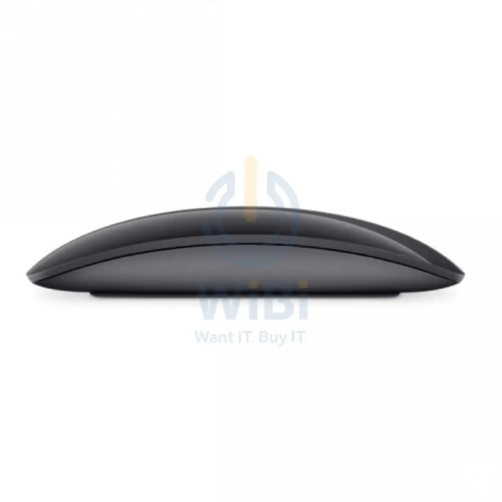 Apple Magic Mouse 2 Bluetooth / Space Grey Accessories > Keyboard & Mouse