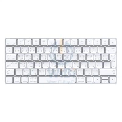 Apple Magic Wireless Rechargeable Keyboard - Bluetooth / Lightning / Wireless / Arb/Eng / White Accessories > Keyboard
