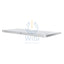 Apple Magic Wireless Rechargeable Keyboard - Bluetooth / Lightning / Wireless / English / White Accessories > Keyboard
